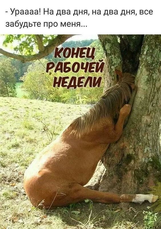 Ураааа На два дня на два дня все забудьте про меня