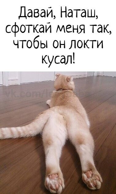 Давай Наташ сфоткай меня так чтобы он локти кусал