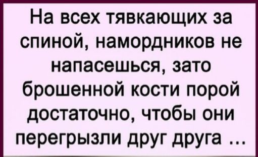 На всех тявкающих за спиной намордников не напасешься зато брошенной кости порой достаточно чтобы они перегрызли друг друга