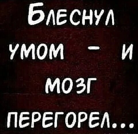 блеснул умом и мозг перегона