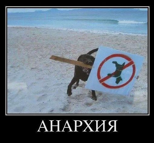 АНАРХИЯ