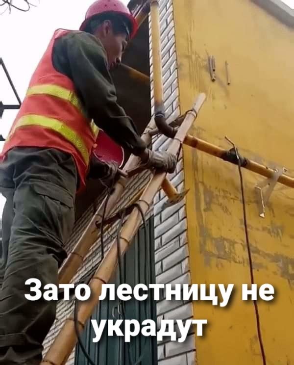 3___ _ 4 ГА у Ё 3 Зато лес ицу не УкраЕУТ