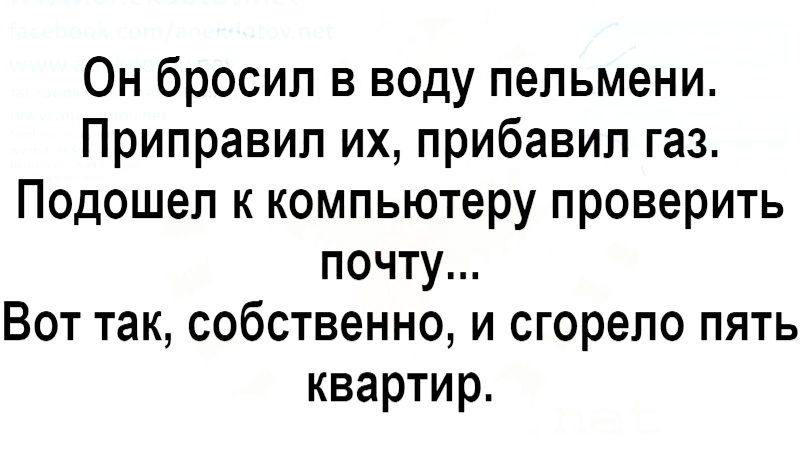 Он бросил в воду пельмени Приправил их прибавил газ Подошел к компьютеру проверить почту Вот так собственно и сгорело пять квартир