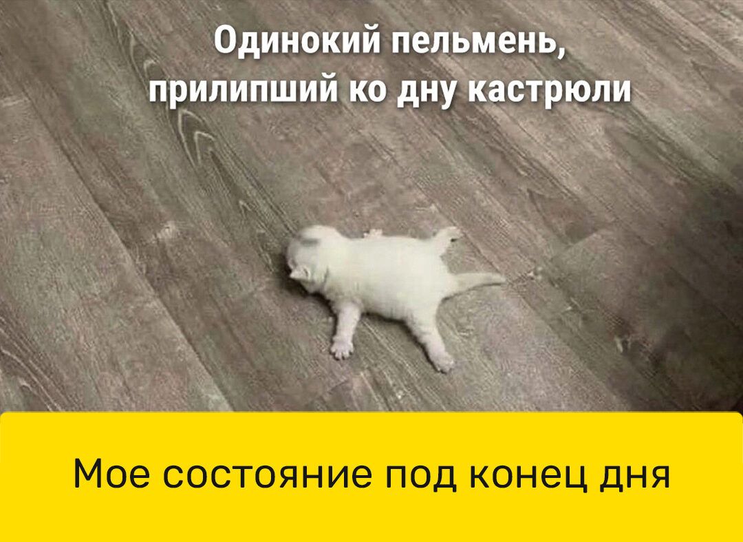 Одинокий пепьмень прилипший ко дну кастрюли1 Мое состояние под конец дня