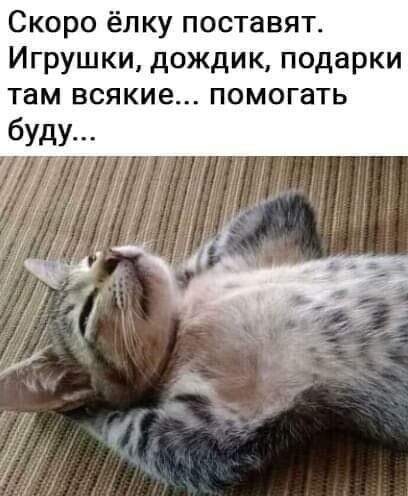 Скоро ёлку поставят Игрушки дождик подарки там всякие помогать бил