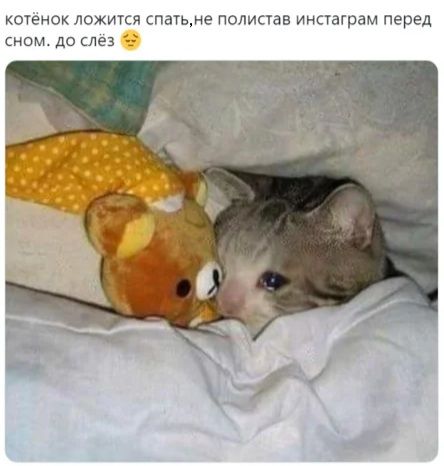 кспенск ложится спать е полистав инсчаграм перед сном до слез _