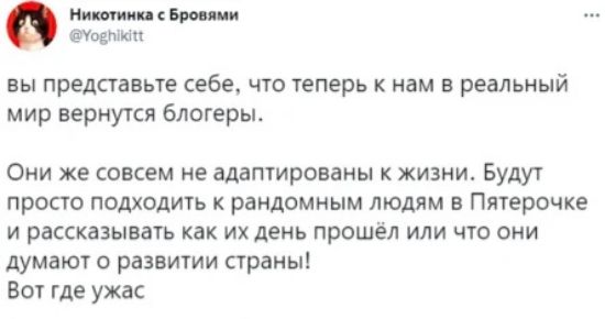 ни Бри ии тоды вы представьте себе что теперь к нам в реальный мир вернутся блогеры ОНИ же совсем не адаптированы К ЖИЗНИ БУДУТ просто подходить к рандомным людям в Пятерочка и рассказывать как их день прошёл или что они думают о развитии страны Вот где ужас