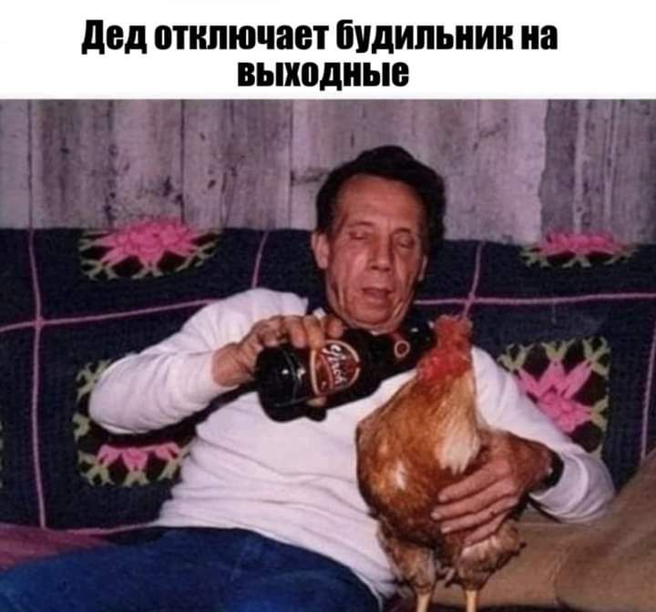 эй дед отключает будильник на выходные