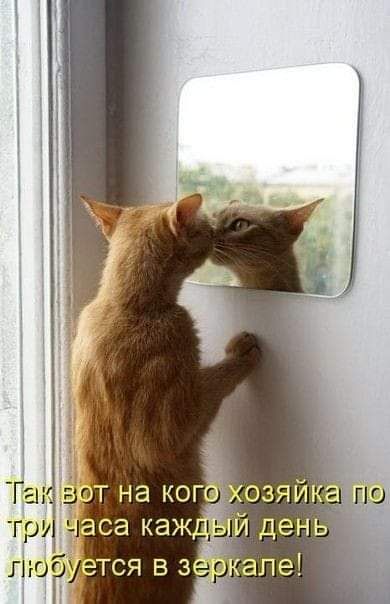 тру са каж _ пгт ется в зщ але