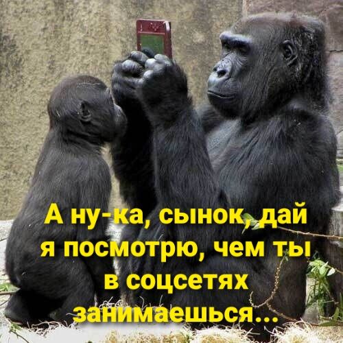 і А ну а сьпнощщ я пос отрю чем игы