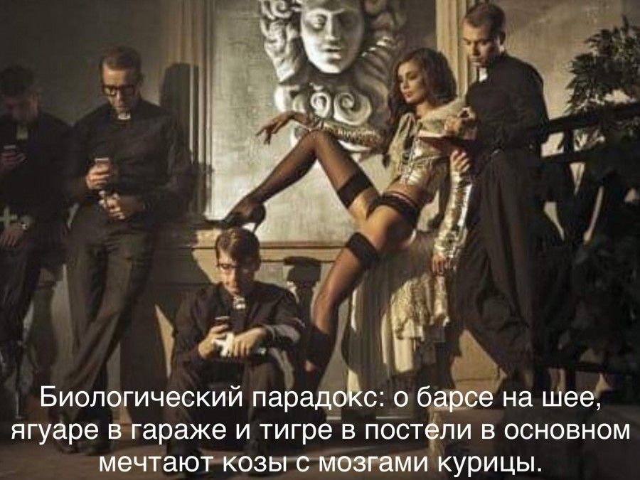 г БИОЛ ИЧЭСКИЙ парадёцс О на шееЁ ягуаре гараже И тигре В ПОСТ ЛИ В ОСНОВНОМ МёЧТЗЮТКОЗБГСМтМИ курицы