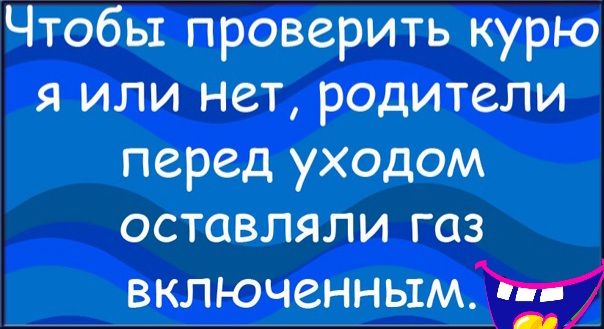 Чтобы проверить курю я или нет родители перед уходом оставляли газ включенньтм_ 7