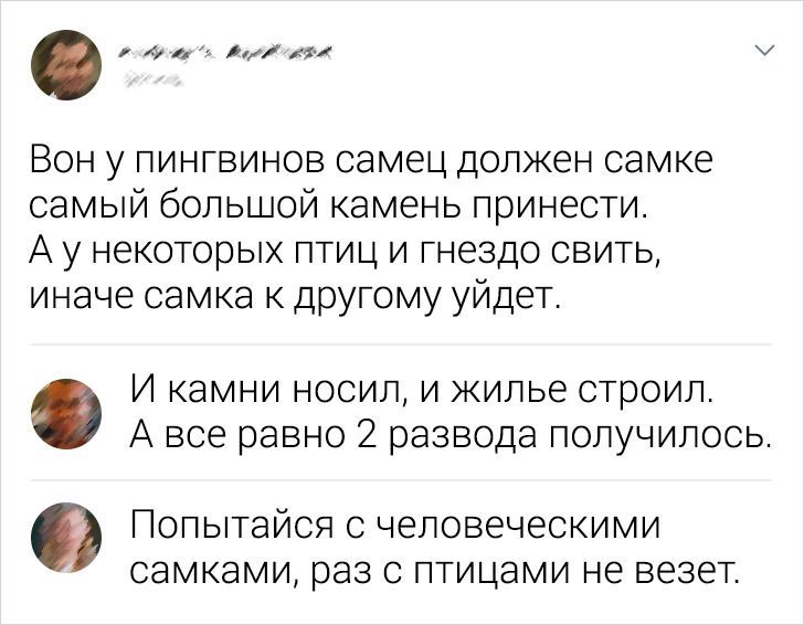 к еф Вон у пингвинов самец должен самке самый большой камень принести А у некоторых птиц и гнездо свить иначе самка к другому уйдет И камни носил и жилье строил А все равно 2 развода получилось ПОПЫТЭЙСЯ С ЧЭЛОВЭЧЭСКИМИ СЭМКЭМИ раз С ПТИЦЭМИ не ВЕЗЭТ