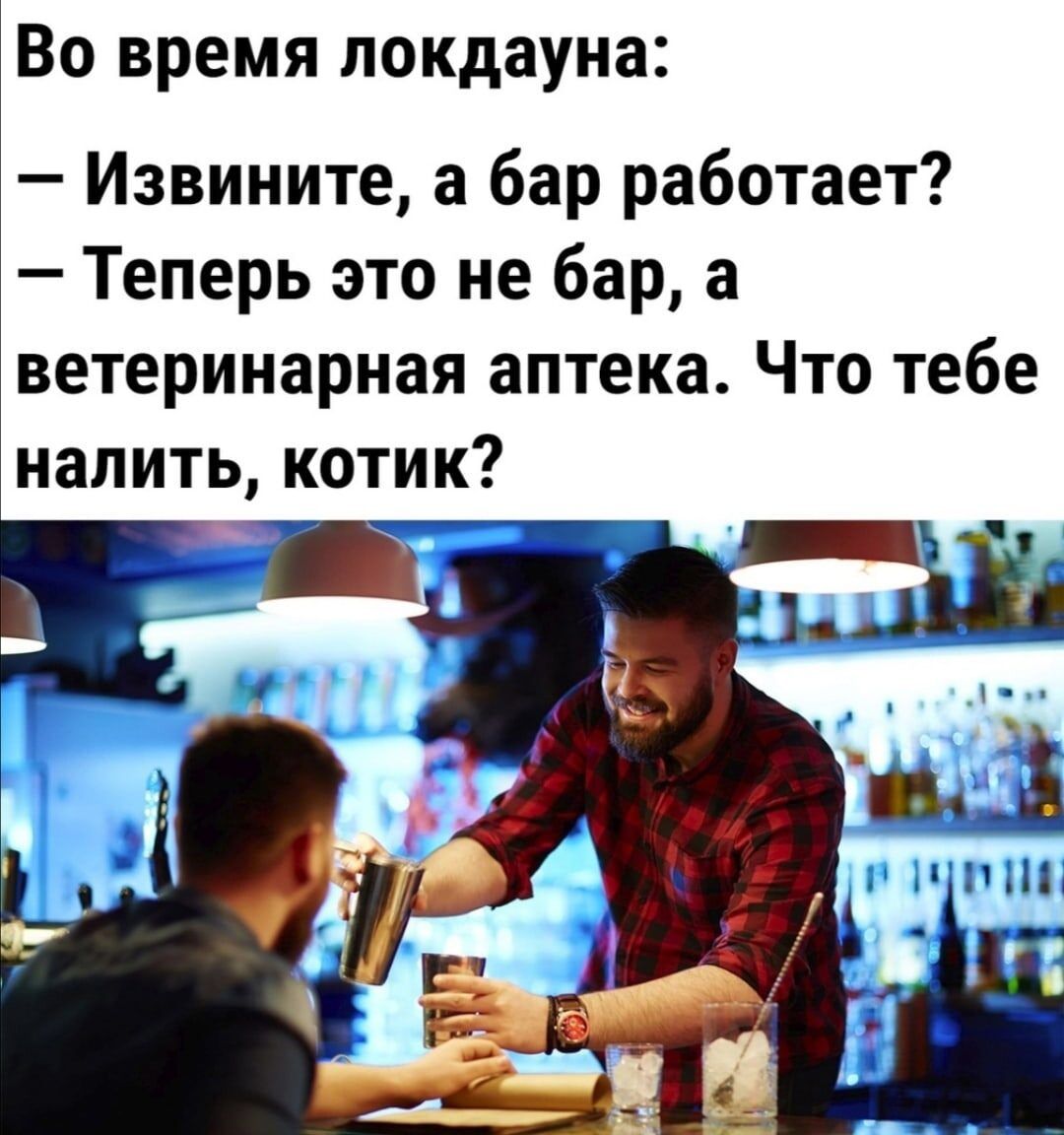 Во время локдауна Извините а бар работает Теперь это не бар а ветеринарная аптека Что тебе налить котик