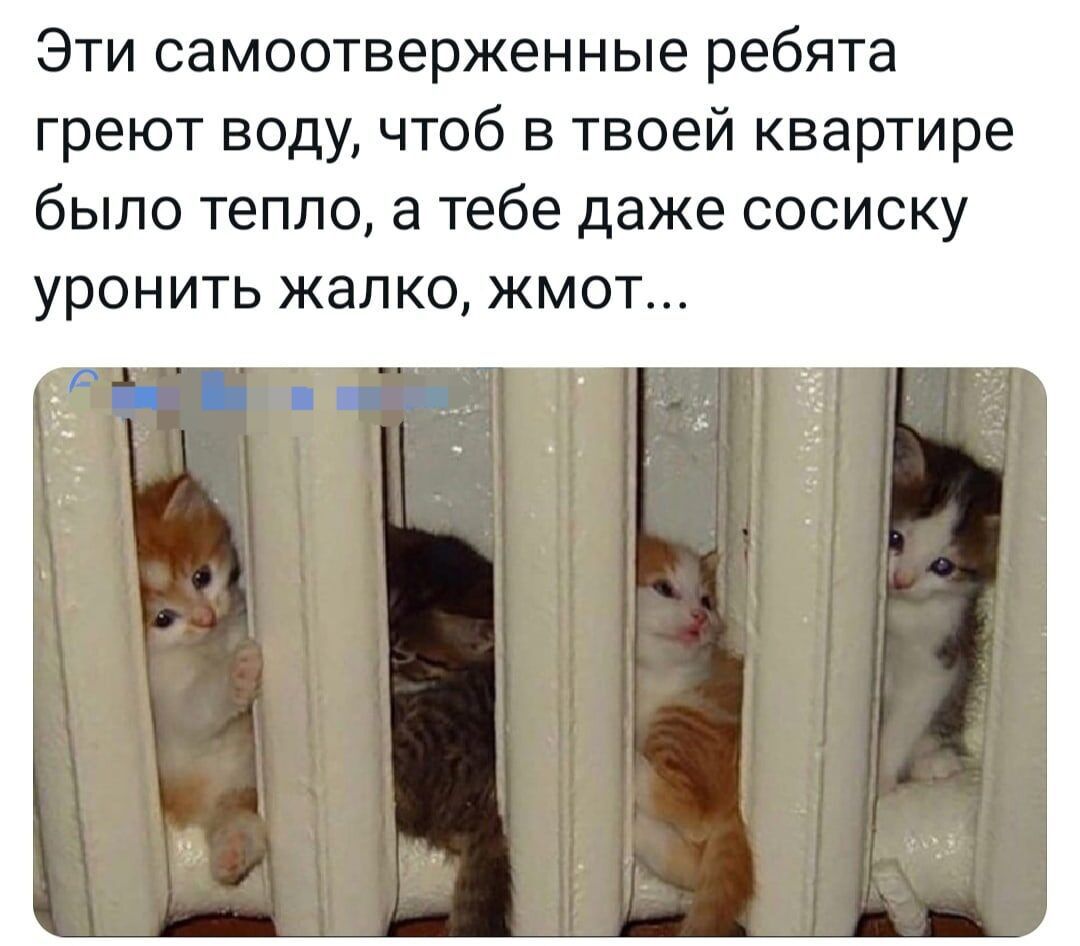 Эти самоотверженные ребята греют воду чтоб в твоей квартире было тепло а тебе даже сосиску УРОНИТЬ ЖЭЛ КО ЖМОТ