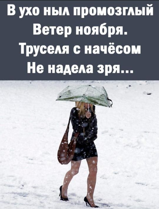 В ухо пыл промоэмый Ветер ноября Труселя начёсом Не надела зря