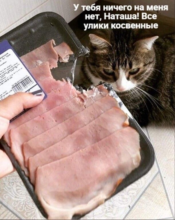 тебя ничего на меня нет Наташа Все улики косвенные