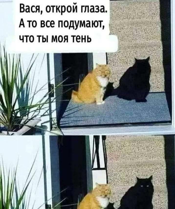 Вася открой глаза _ Ато все подумают д что ты моя тень