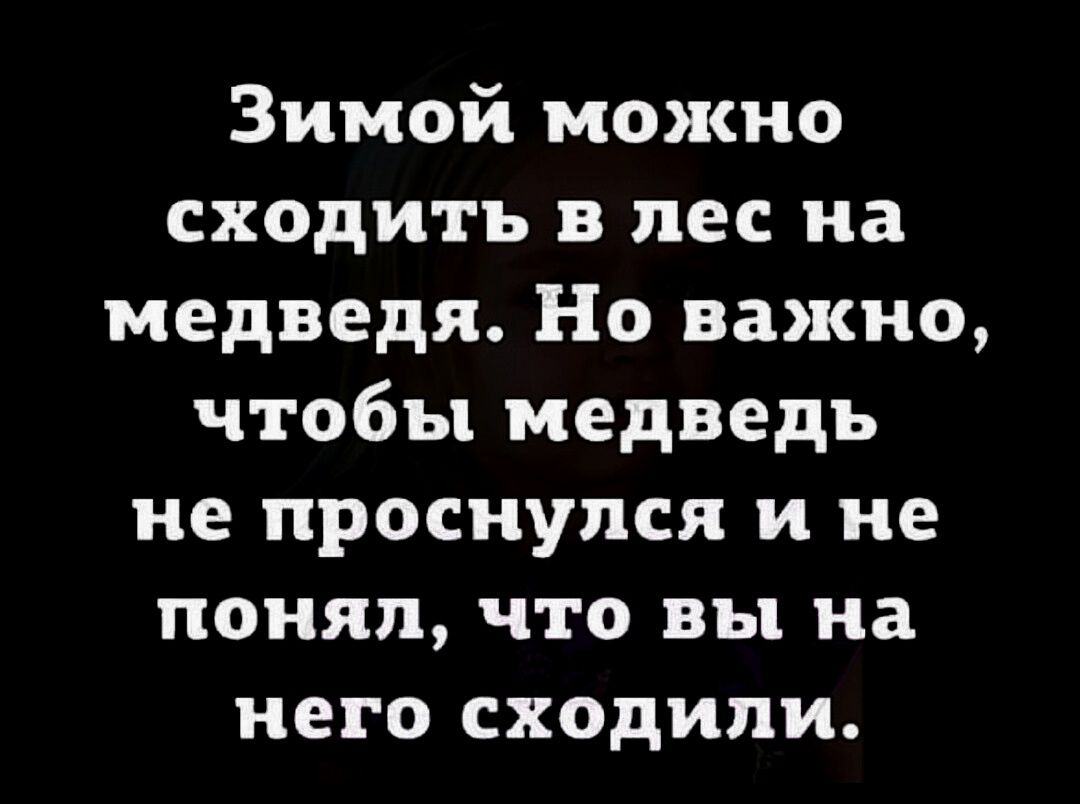 Зимой можно сходить в лес на медведя Но важно чтобы медведь не проснулся и не понял что вы на него сходили