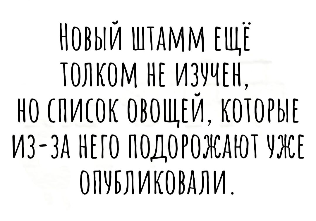 Новыи штдмм ЕЩЕ толком нг но пиюк овощги котогыг иззд нно подогождют опчвликовмчи