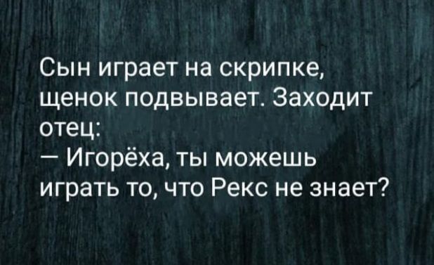 Сын играет на скрипке щенок подвывает Заходит отец Игорёха ты можешь играть то что Рекс не знает