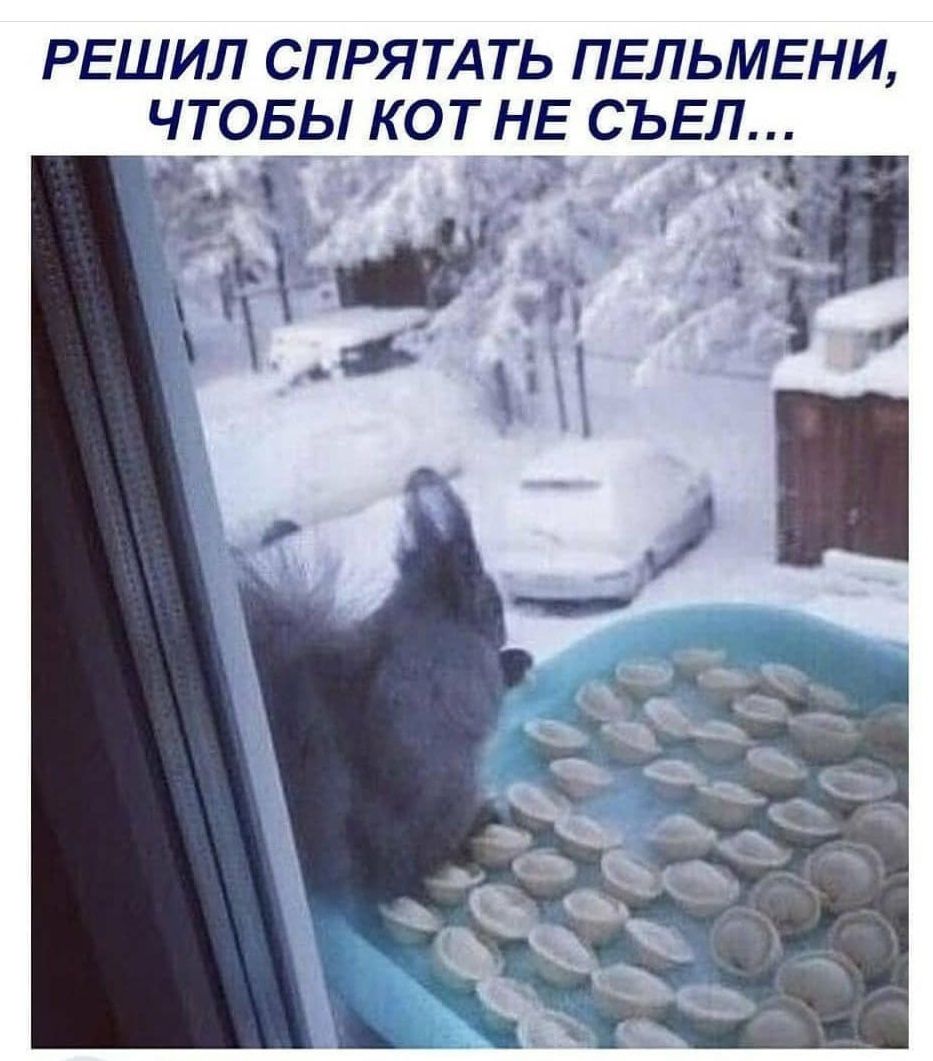 РЕШИЛ СПРЯТАТЬ ПЕЛЬМЕНИ ЧТОБЫ КОТ НЕ СЪЕЛ