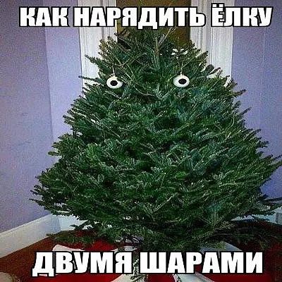 ж МИ ш щ дім
