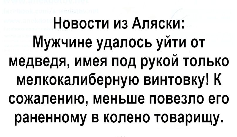 Новости из Аляски Мужчине удалось уйти от медведя имея под рукой только мелкокапиберную винтовку К сожалению меньше повезло его раненному в колено товарищу