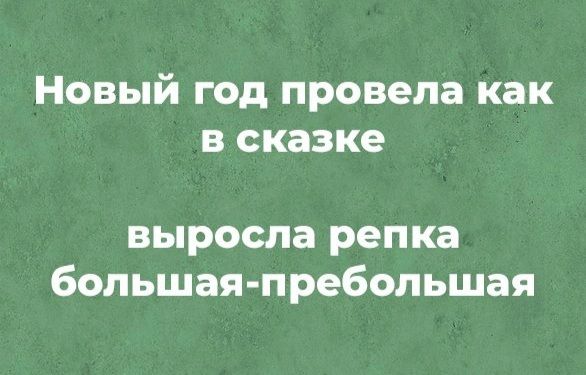 Новый год провела как в сказке выросла репка большая пребольшая