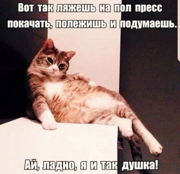 Ш Ш Ш так душка