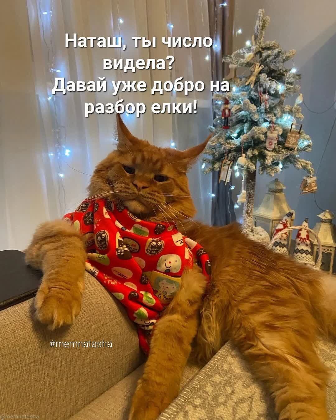 Ё д Малыш 3 Ш _ вида 3