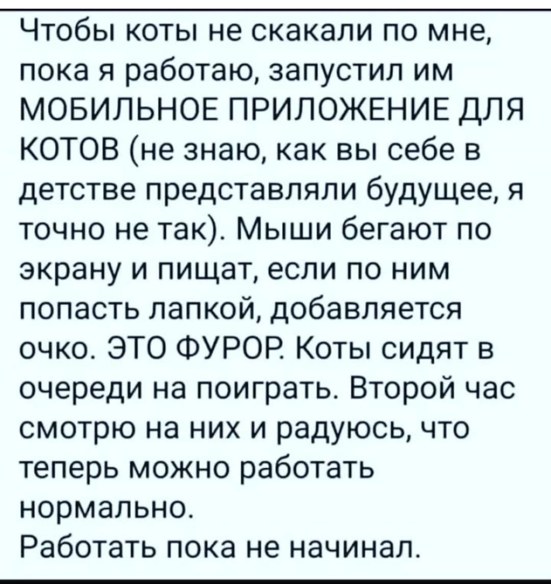 Чтобы коты не скакали по мне пока я работаю запустил им МОБИЛЬНОЕ ПРИЛОЖЕНИЕ ДЛЯ КОТОВ не знаю как вы себе в детстве представляли будущее я точно не так Мыши бегают по экрану и пищат если по ним попасть лапкой добавляется очко ЭТО ФУРОР Коты СИДЯТ в очереди на поиграть Второй час смотрю на них и радуюсь что теперь можно работать нормально Работать пока не начинал