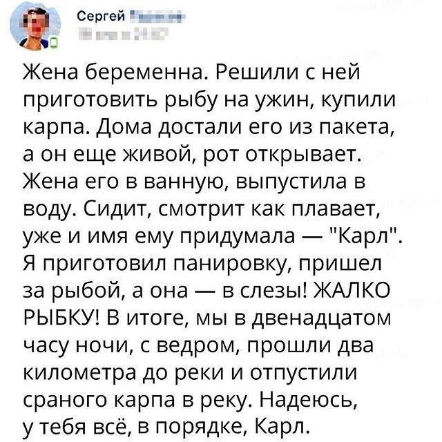 сергей  у  жена беременна. Решили с ней приготовить рыбу на ужин, купили карпа. Дома достали его из пакета, а он еще живой, рот открывает. Жена его в ванную, выпустила в воду. Сидит, смотрит как плавает, уже и имя ему придумала  