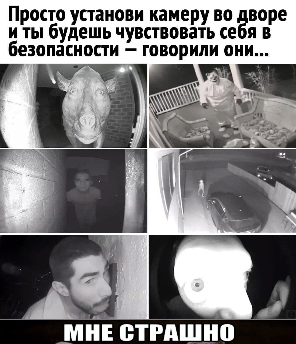 Просто установи камеру во дворе и ты будешь чувствовать себя в безопасности говорили они МНЕ СТРАШНО