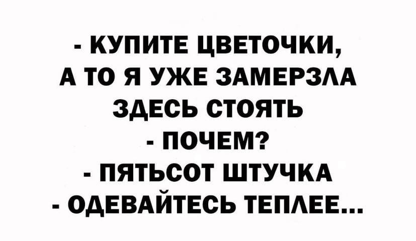 КУПИТЕ ЦВЕТОЧКИ А ТО Я УЖЕ ЗАМЕРЗАА ЗДЕСЬ СТОЯТЬ ПОЧЕМ ПЯТЬСОТ ШТУЧКА ОАЕВАЙТЕСЬ ТЕПАЕЕ