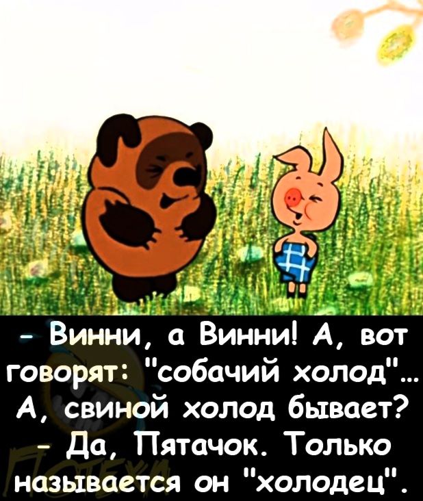 Винни а Винни А вот говорят собачий холод А свиной холод бывает Да Пятачок Только называется он холодец