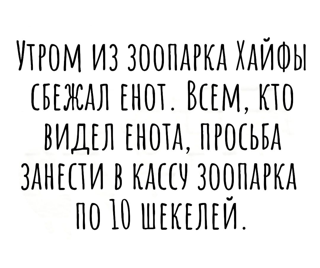 игом из зоопдгкд ХАИФЫ вы Енот ВСЕМ кто ВИДЕЛ нотд пгшьвд зднши в 9 ЗООПАРКА по 105 шгк