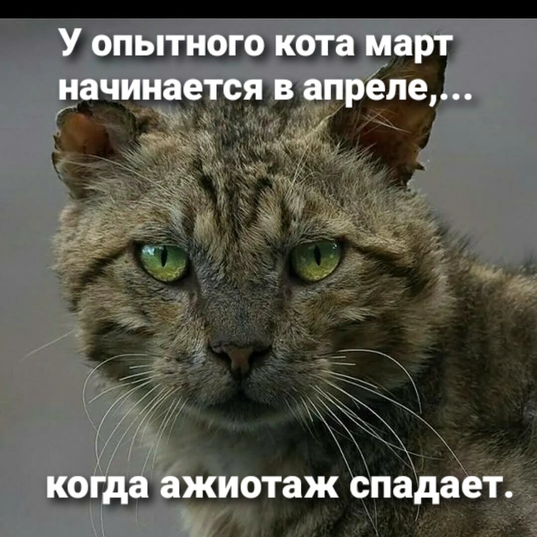 1 щшэшш 1