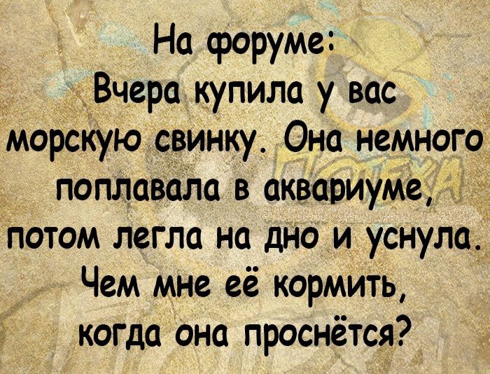 На форуме Вчера купила у вас морскую свинку Она немногоЁ попЛаваЛа в аквариуме Т Потом легла на дНо и уснула _ Чем М_Не её кормить когда она проснётся