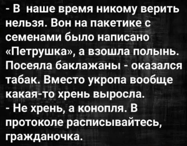 В наше время никому верить нельзя Вон на пакетике с семенами было написано Петрушка а взошла полынь Посеяла баклажаны оказался табак Вместо укропа вообще какая то хрень выросла Не хрень а конопля В протоколе расписывайтесь гражданочка