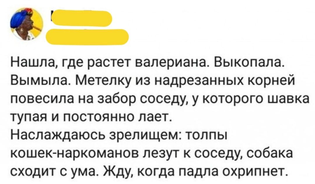 Ф ЕЫ Нашла где растет валериана Выкопала Вымыла Метелку из надрезанных корней повесила на забор соседу у которого шавка тупая и постоянно лает Наслаждаюсь зрелищем толпы кошек наркоманов лезут к соседу собака сходит с ума Жду когда падла охрипнет