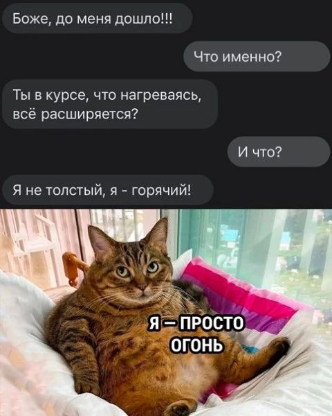 Боже до меня дошло Что именно Ты в курсе что нагреваясь всё расширяется И что Я не толстый горячий