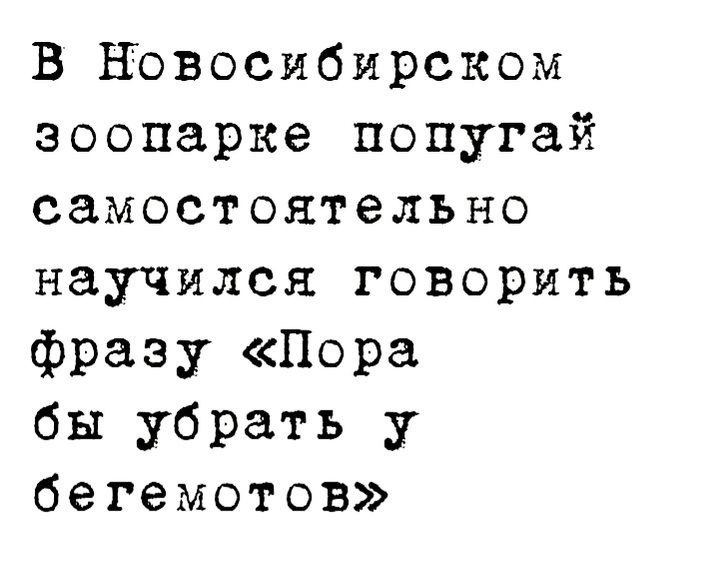 В новосибирском зоопарке попугай самостоятельно научился говорить фразу Пора бы убрать у бегемотов