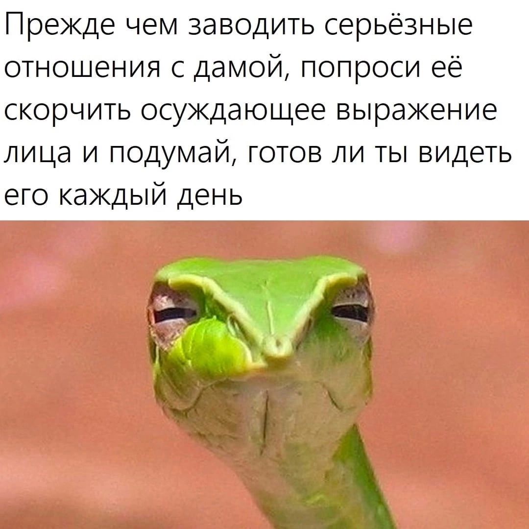 Прежде чем заводить серьёзные отношения с дамой попроси её скорчить осуждающее выражение лица и подумай готов ли ты видеть его каждый день