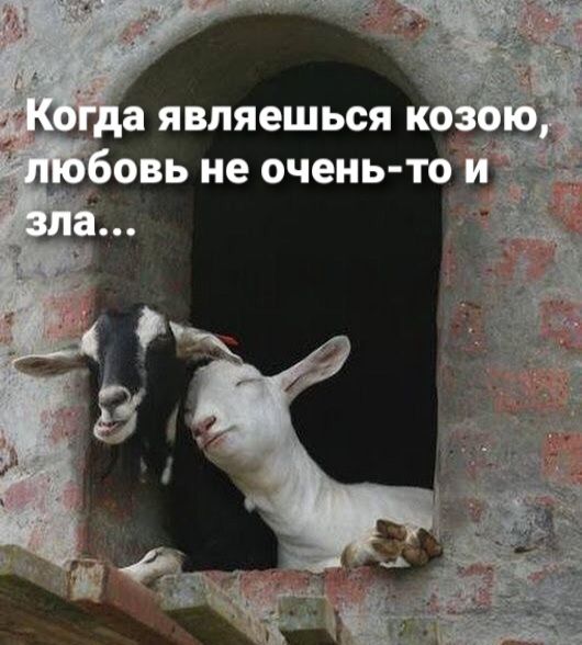 являешься К ц ОВЬ не ОЧЕНЬ ТО