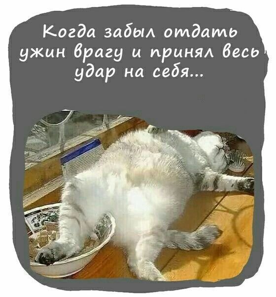 Когда забит отдать ужин брагу и принял весь удар на себя