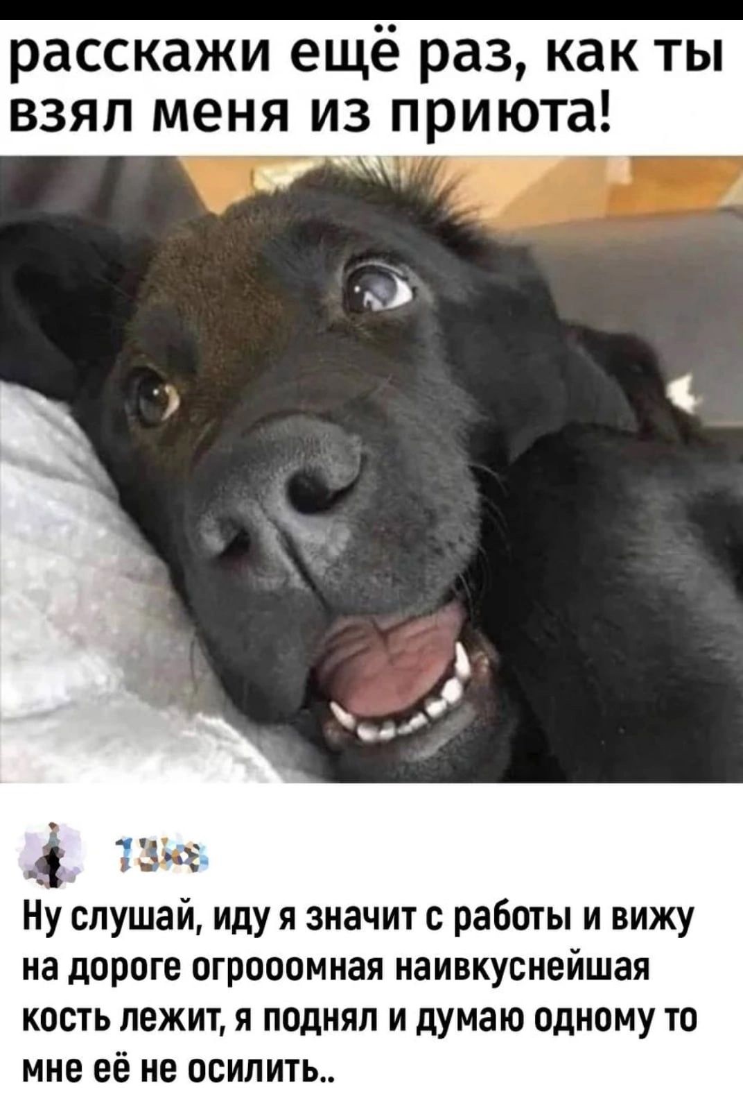 расскажи ещё раз как ты взял меня из приюта _ Ну слушай иду я значит с работы и вижу на дороге огрооомиая наивкусиейшая кость ЛЕЖИТ Я поднял И думаю одному ТО МНЕ ЕЁ НЕ ОСИЛИТЬ