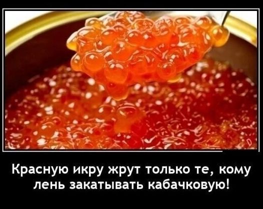 Красную икру жрут только те кому лень закатывать кабачковую