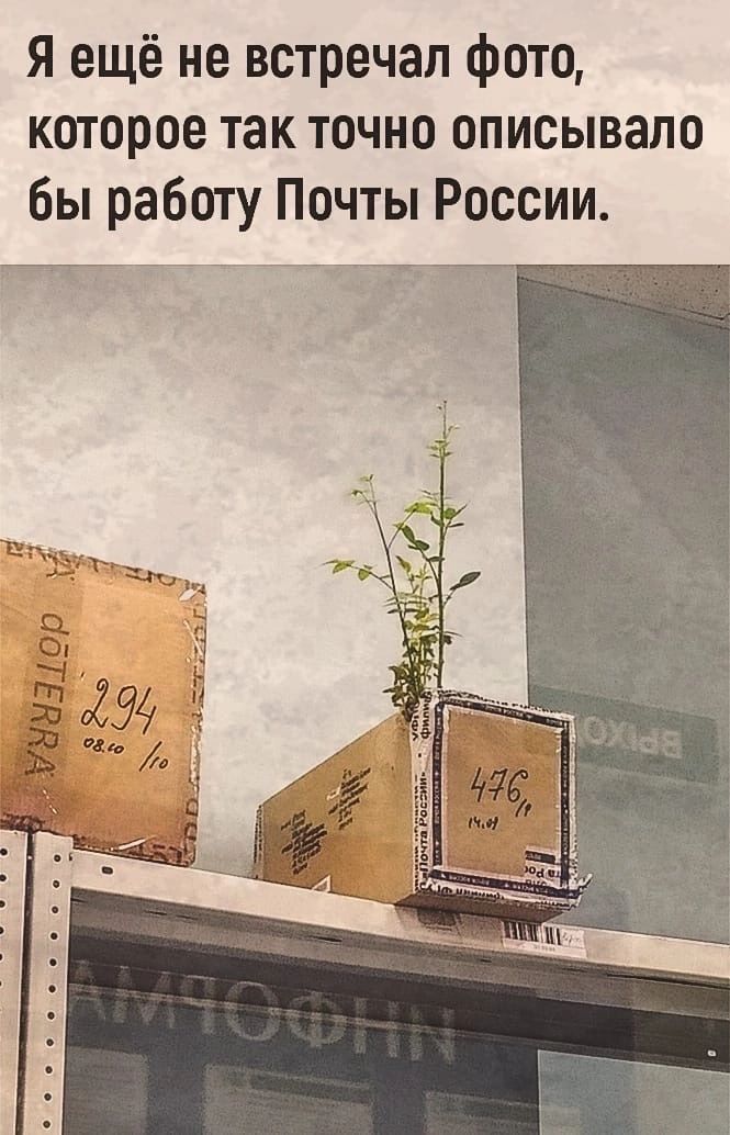 Я ещё не встречал фото которое так точно описывало бы работу Почты России