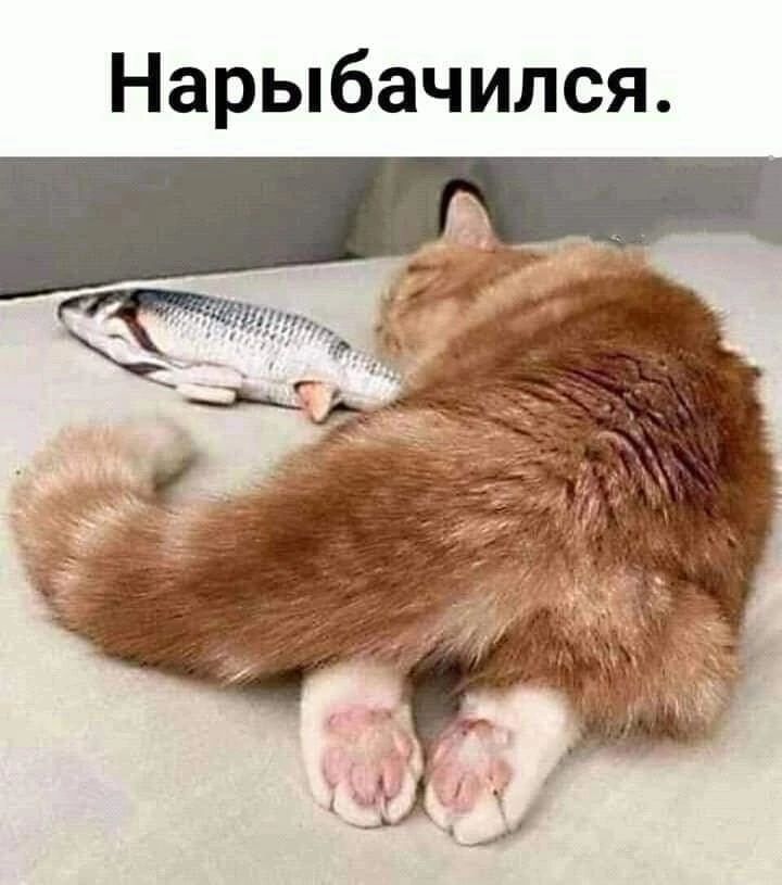 Нарыбачился
